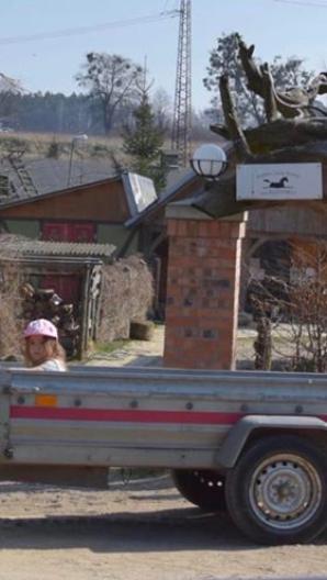 [VIDEO] Czy porwanie 4-letniej Julki wspiera Nina K., właścicielka stadniny koni w Bąkowie pod Gdańskiem a jednocześnie organizatorka półkolonii dla grup dzieci? Do Prokuratury trafił dziś wniosek o ściganie jej za przestępstwa kryminalne!