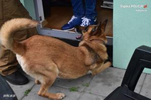 [VIDEO] Katowiccy policjanci rozbili zorganizowaną grupę przestępczą z Małopolski. Oszukali niemiecką firmę na kwotę prawie 2,5 mln zł.