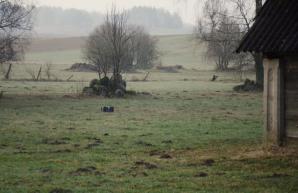 Przemyt dronem z Białorusi