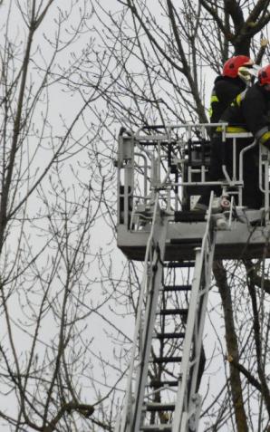 Silny wiatr na terenie kraju. Strażacy walczą ze skutkami Orkanu Barbara