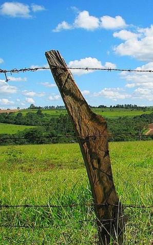 Nowe przepisy o przeciwdziałaniu nieuczciwym praktykom w obrocie produktami rolnymi mogą uderzyć w rolników