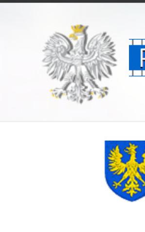 Byłeś świadkiem tego wypadku? Skontaktuj się z policjantami z opola