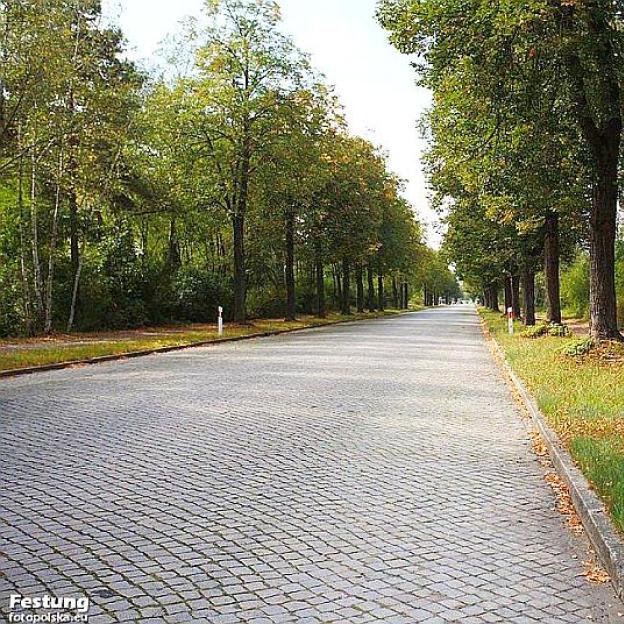 Turystki z Niemiec, które wybrały się na zdrowotny spacer, odnalezione dzięki międzynarodowej współpracy służb