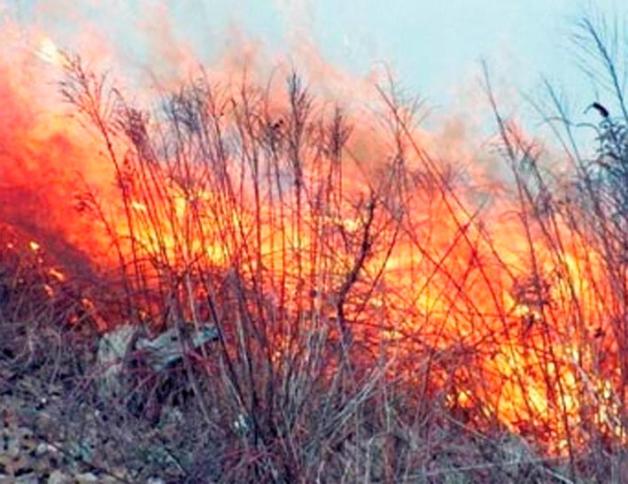 Rośnie ilość pożarów spowodowanych wypalaniem traw