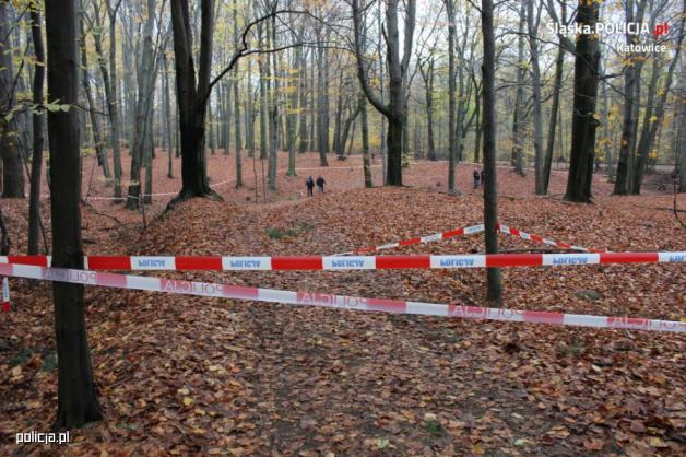 Ciało mężczyzny w katowickim lesie. Trwa śledztwo